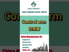 Marke Ivanzoneko - gesamte Reihe von Steuerarmen