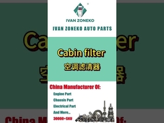 Ivanzoneko-Klimaanlagenfilter