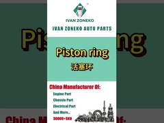 Ivan Zoneko- Kolbenring