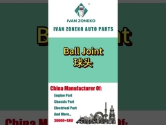 Ivan Zoneko - Ballgemeinschaft