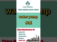Ivan Zoneko-Wasserpumpe